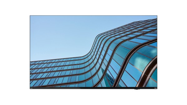 Lenovo ThinkVision E55 LFD 138,7 cm (54.6") 3840 x 2160 Pix