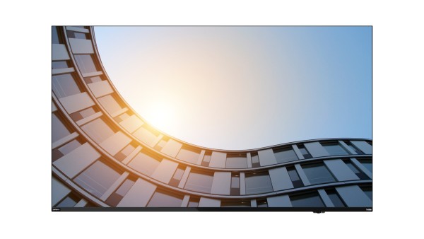 Lenovo ThinkVision E65 LFD 163,8 cm (64.5") 3840 x 2160 Pix