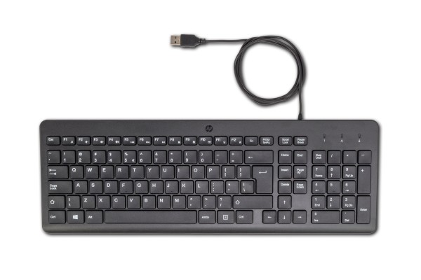 HP 150 Wired Keyboard toetsenbord Universeel USB QWERTY Engels Z