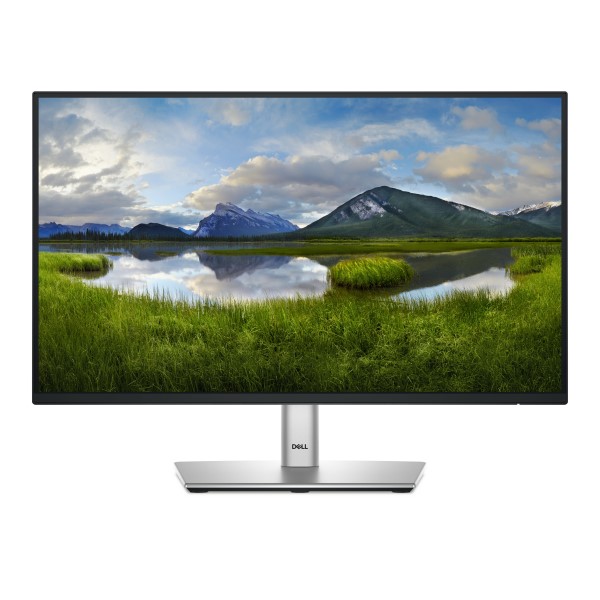 DELL P Series P2225H computer monitor 54,6 cm (21.5") 1920