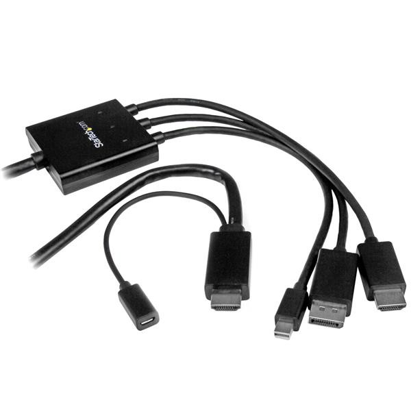 StarTech.com DPMDPHD2HD video kabel adapter DisplayPort + Mini D