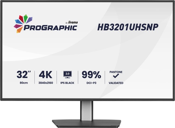 32"W LCD Business 4K UHD