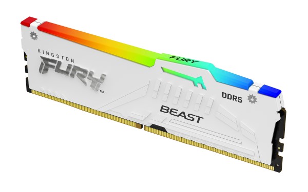 Kingston Technology FURY Beast RGB geheugenmodule 1 x 16 GB