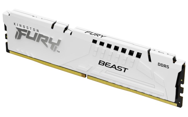 Kingston Technology FURY Beast geheugenmodule 1 x 32 GB