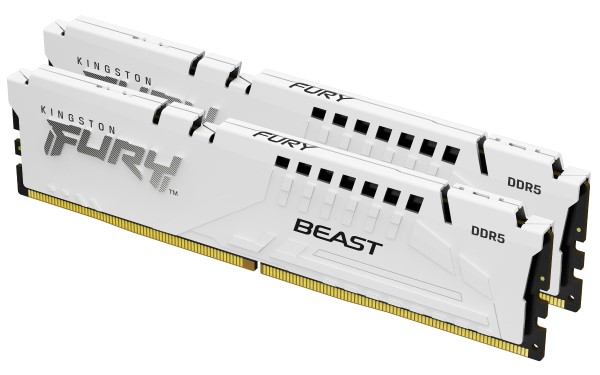 Kingston Technology FURY Beast geheugenmodule 2 x 32 GB