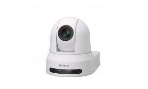 Sony SRG-X40UH Dome IP-beveiligingscamera Binnen 3840 x 2160 Pix